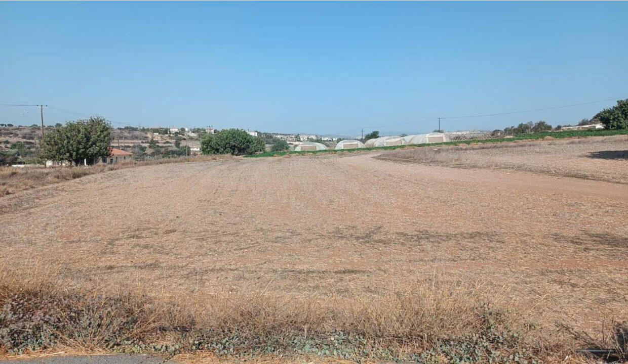 Field-Maroni-1271(2)