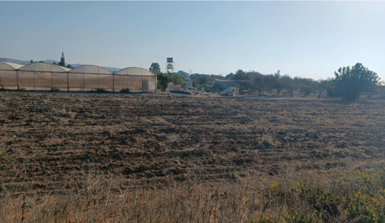 Field-Maroni-485(1)