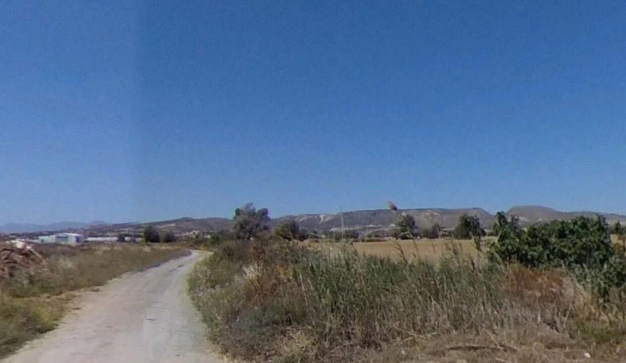 Field-Maroni-94(1)