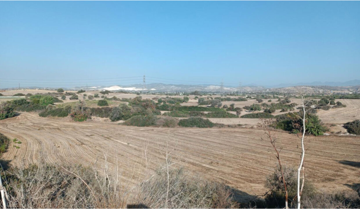 Field-Tochni-2