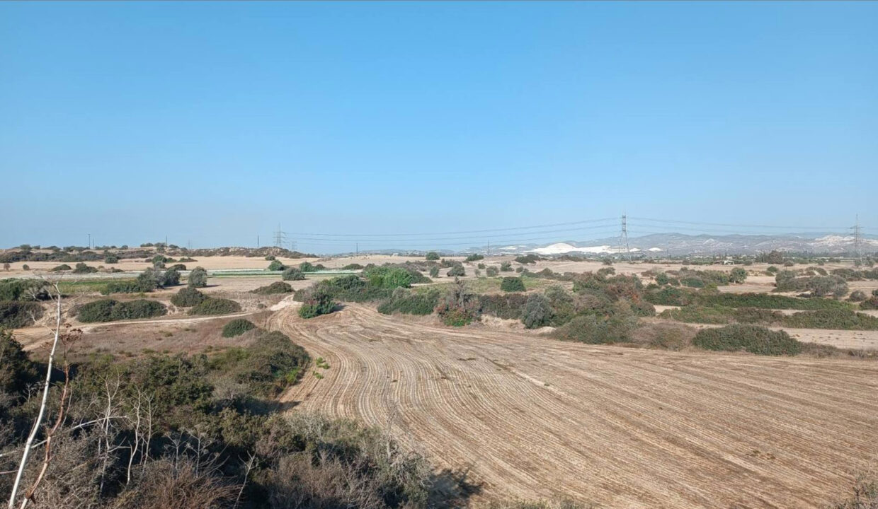 Field-Tochni-3