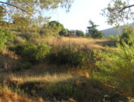 130FD-AP-Apsiou-land-for-sale