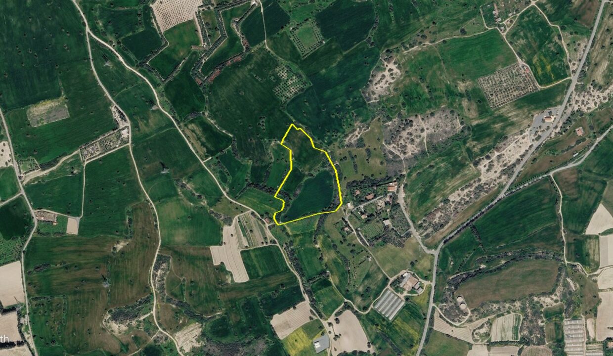 google-tohni-field
