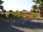 Maroni Plot For Sale