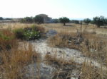 Maroni Plot For Sale