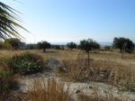 Maroni Plot For Sale